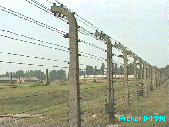Birkenau fense
